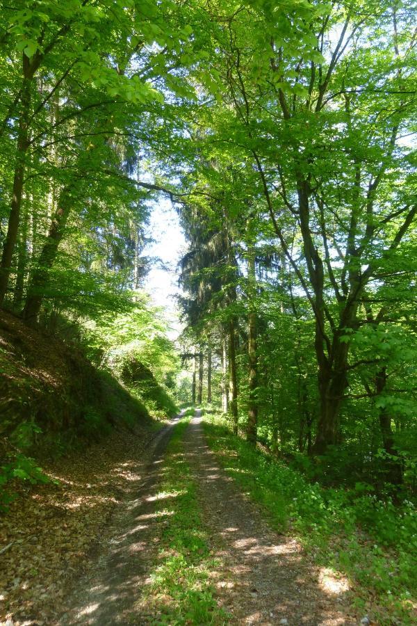 Moselschiefer Neu Ab Mai 2023 Appartement Verbandsgemeinde Verbandsgemeinde Traben-Trarbach Buitenkant foto